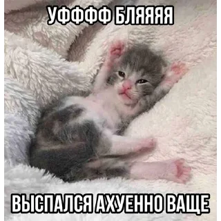 😴