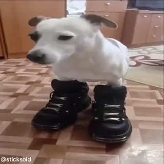 😳