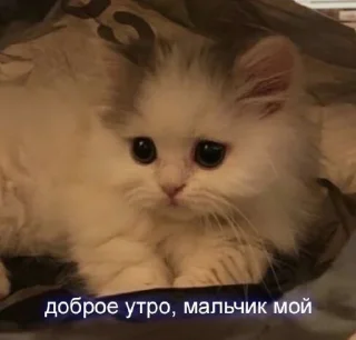👋