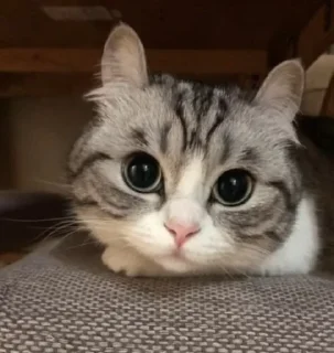 🙃