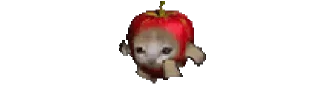 🍎