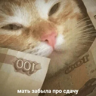 🤩