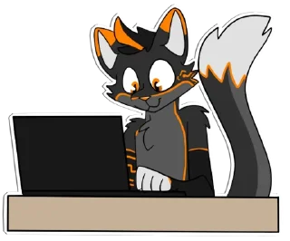 💻