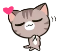 🐱