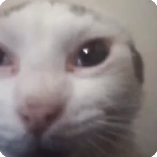 😨