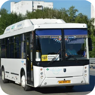 🚌