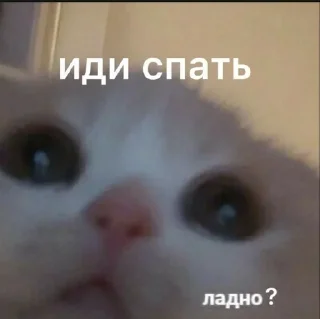 😴