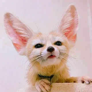 🤨