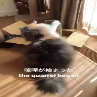 👊