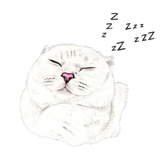 😴