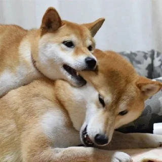 💓