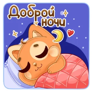 🌙