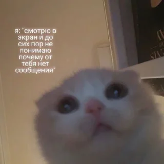 🥺
