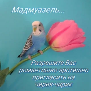 🥰