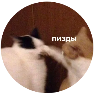 👊
