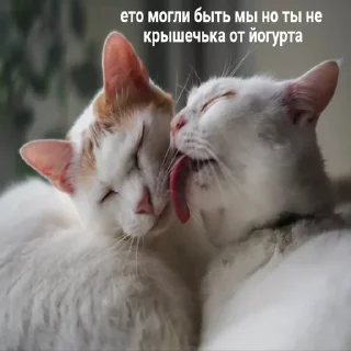 🤤