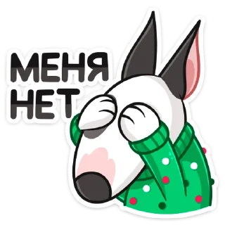 🙈