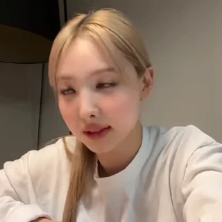 🐰