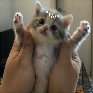 🤗