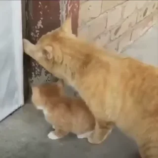 😑