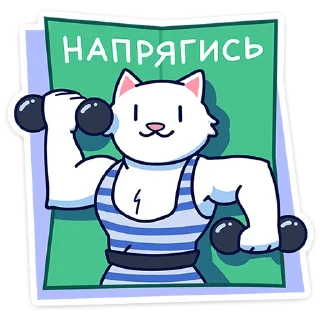 💪