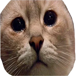 😢