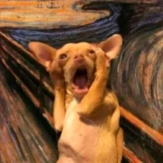 😱