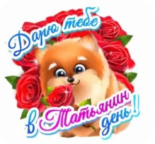 🌺