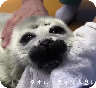😊