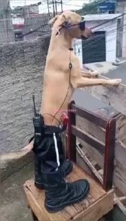 😎