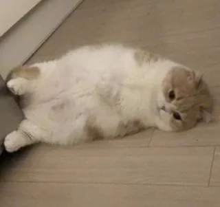 😞