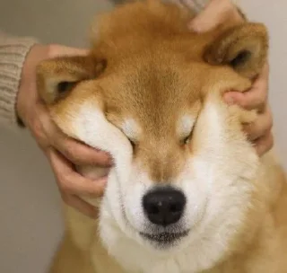 ☺️