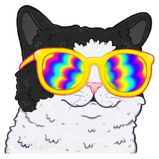 😎