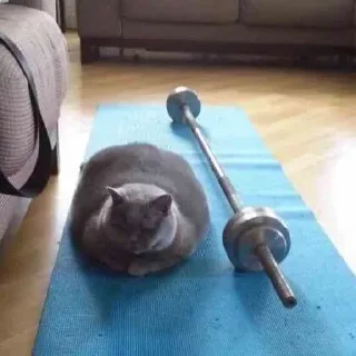 💪
