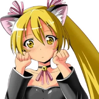 🙀