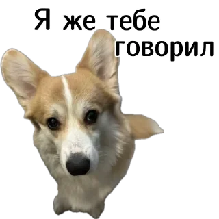 😨