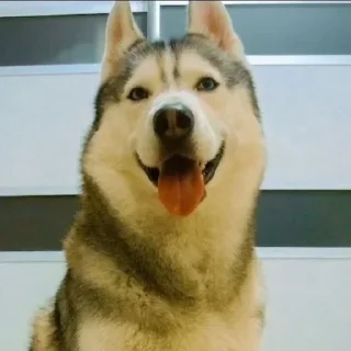 🌟