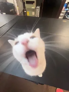 😮