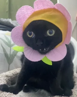 😨