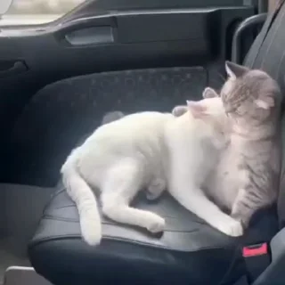 🚗