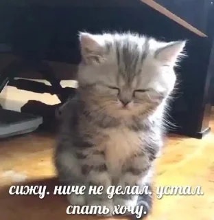 🇺🇦