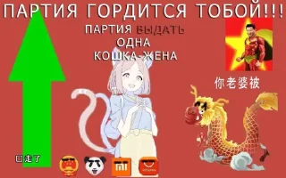 🐱