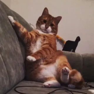 😮