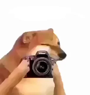 😂