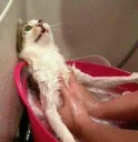 😵