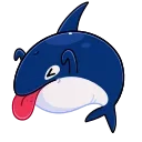 🦈