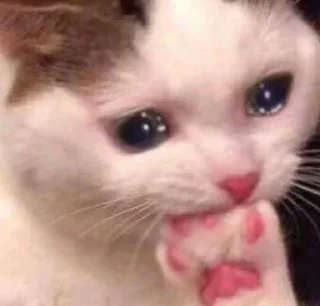 😭