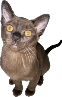 😐