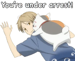 🚔