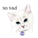 😿